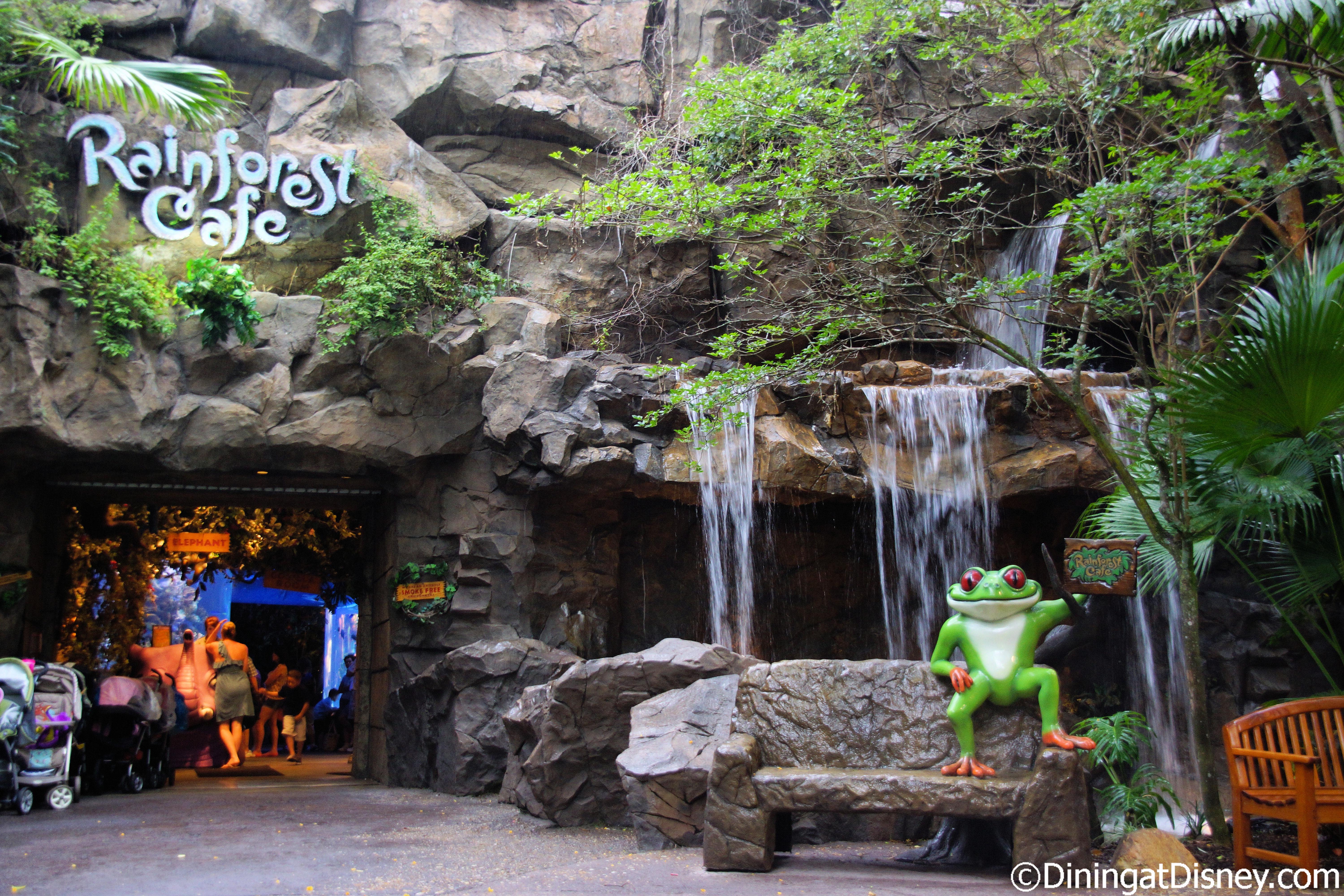 Rainforest Cafe